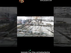 रोटरी स्टैंड अप बैग स्वचालित स्नैक्स भरने की मशीन पालतू भोजन पैकेजिंग मशीन निर्जलित सूखी सब्जी