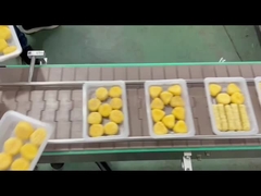 वैक्यूम गैस फ्लशिंग के साथ स्वचालित ट्रे सीलिंग मशीन 4R